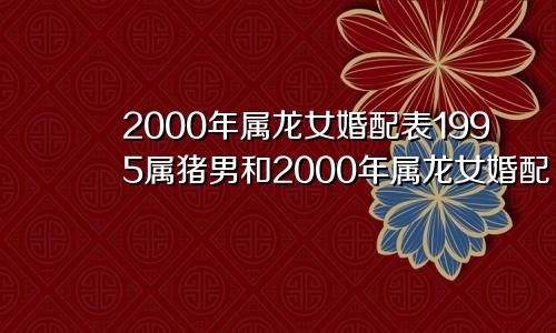 2000年属龙女婚配表1995属猪男和2000年属龙女婚配