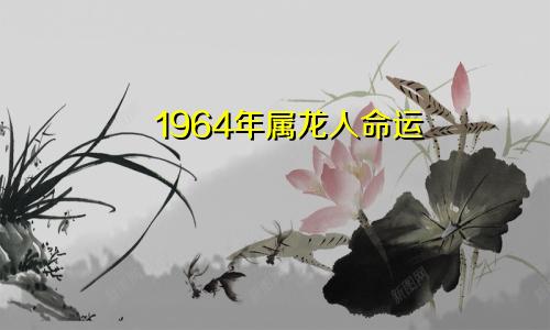 1964年属龙人命运