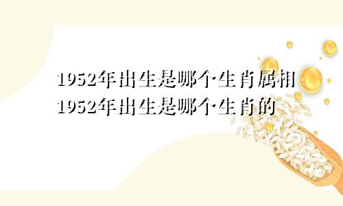 1952年出生是哪个生肖属相1952年出生是哪个生肖的