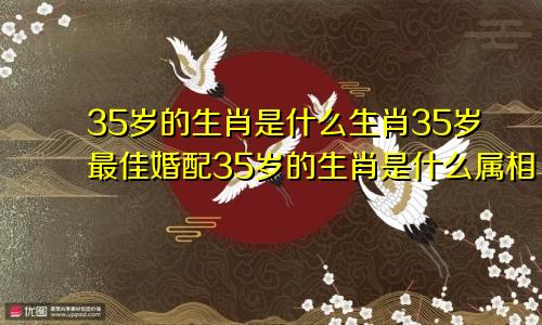 35岁的生肖是什么生肖35岁最佳婚配35岁的生肖是什么属相