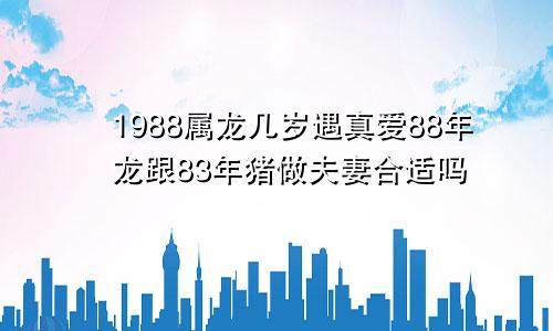 1988属龙几岁遇真爱88年龙跟83年猪做夫妻合适吗