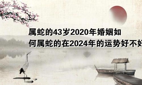 属蛇的43岁2020年婚姻如何属蛇的在2024年的运势好不好呢