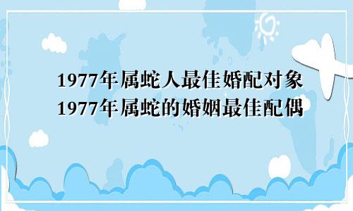 1977年属蛇人最佳婚配对象1977年属蛇的婚姻最佳配偶