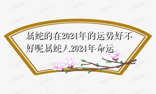 属蛇的在2024年的运势好不好呢属蛇人2024年命运