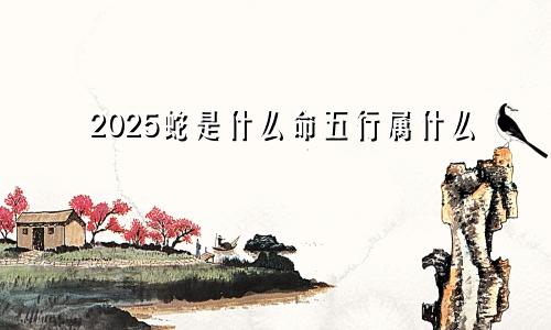 2025蛇是什么命五行属什么