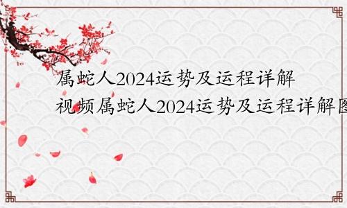 属蛇人2024运势及运程详解视频属蛇人2024运势及运程详解图