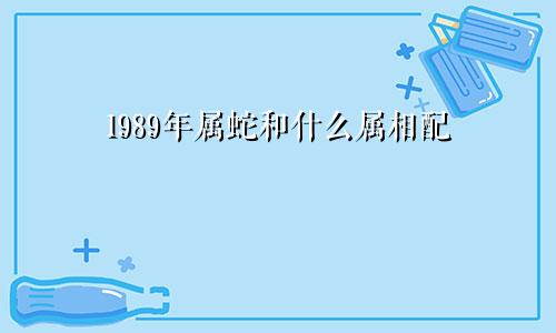 1989年属蛇和什么属相配