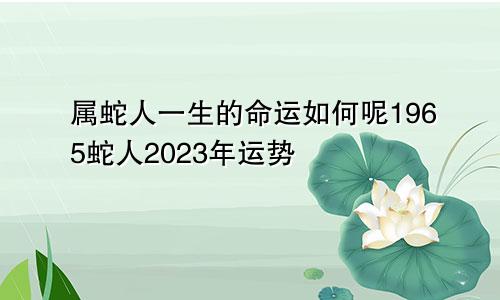 属蛇人一生的命运如何呢1965蛇人2023年运势