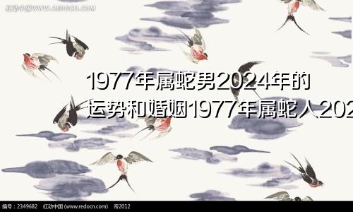 1977年属蛇男2024年的运势和婚姻1977年属蛇人2024年运势男性