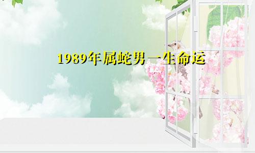 1989年属蛇男一生命运