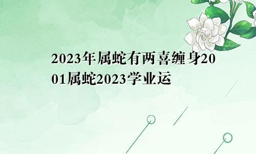 2023年属蛇有两喜缠身2001属蛇2023学业运