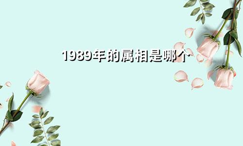 1989年的属相是哪个