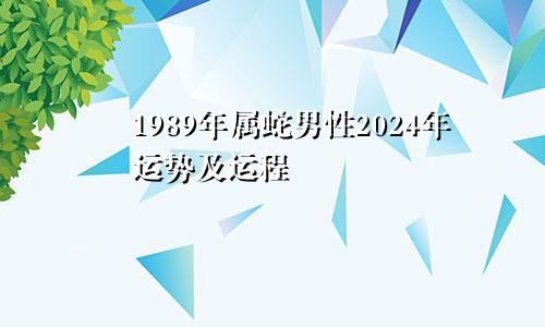 1989年属蛇男性2024年运势及运程