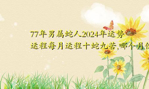 77年男属蛇人2024年运势运程每月运程十蛇九苦,哪个月份最苦