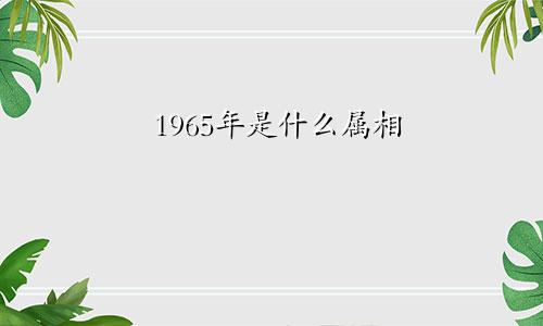 1965年是什么属相