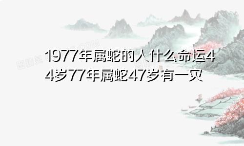 1977年属蛇的人什么命运44岁77年属蛇47岁有一灾