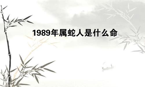 1989年属蛇人是什么命