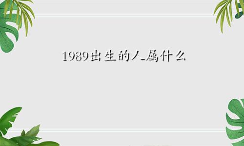 1989出生的人属什么