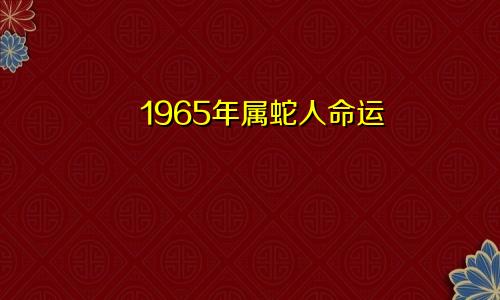 1965年属蛇人命运