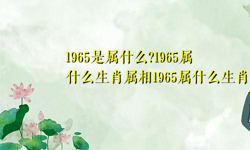 1965是属什么?1965属什么生肖属相1965属什么生肖年