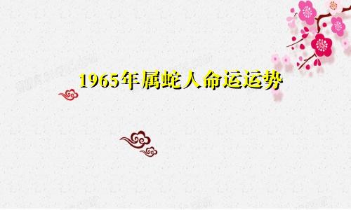 1965年属蛇人命运运势