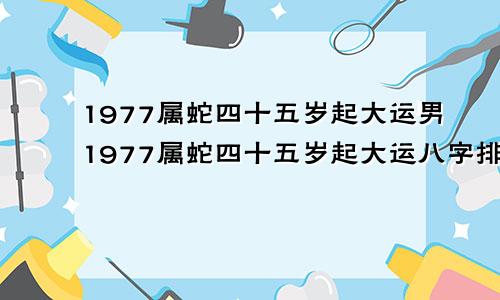 1977属蛇四十五岁起大运男1977属蛇四十五岁起大运八字排盘