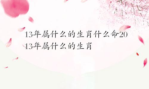 13年属什么的生肖什么命2013年属什么的生肖