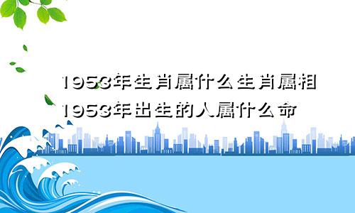 1953年生肖属什么生肖属相1953年出生的人属什么命