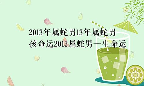 2013年属蛇男13年属蛇男孩命运2013属蛇男一生命运