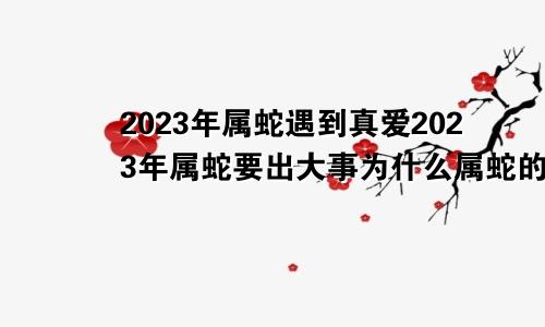 2023年属蛇遇到真爱2023年属蛇要出大事为什么属蛇的全离婚了