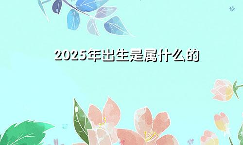 2025年出生是属什么的