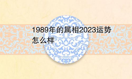 1989年的属相2023运势怎么样