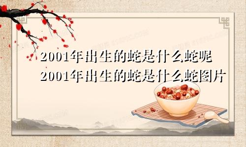 2001年出生的蛇是什么蛇呢2001年出生的蛇是什么蛇图片