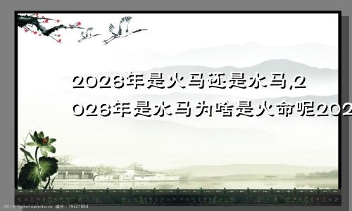 2026年是火马还是水马,2026年是水马为啥是火命呢2026年属马是水马命还是火马命