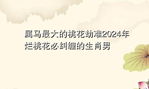 属马最大的桃花劫难2024年烂桃花必纠缠的生肖男