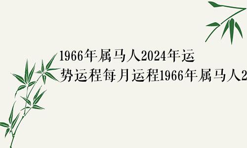 1966年属马人2024年运势运程每月运程1966年属马人2024年运势运程女