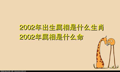 2002年出生属相是什么生肖2002年属相是什么命