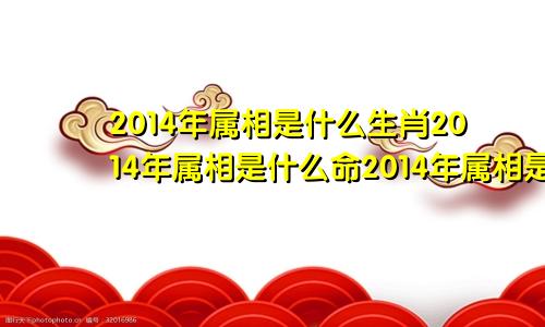 2014年属相是什么生肖2014年属相是什么命2014年属相是什么年