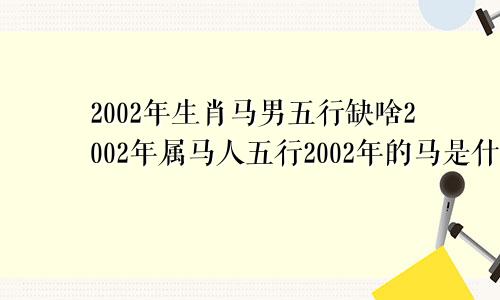 2002年生肖马男五行缺啥2002年属马人五行2002年的马是什么