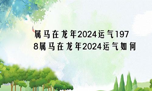 属马在龙年2024运气1978属马在龙年2024运气如何