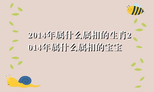 2014年属什么属相的生肖2014年属什么属相的宝宝