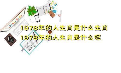 1978年的人生肖是什么生肖1978年的人生肖是什么呢