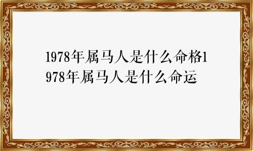 1978年属马人是什么命格1978年属马人是什么命运