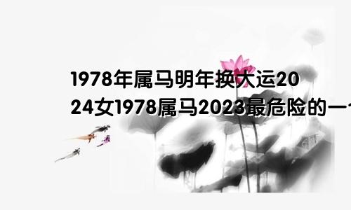 1978年属马明年换大运2024女1978属马2023最危险的一个月