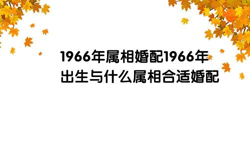 1966年属相婚配1966年出生与什么属相合适婚配