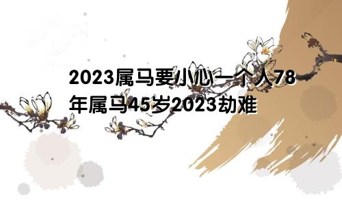 2023属马要小心一个人78年属马45岁2023劫难