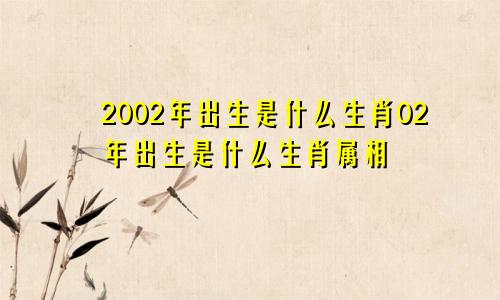 2002年出生是什么生肖02年出生是什么生肖属相