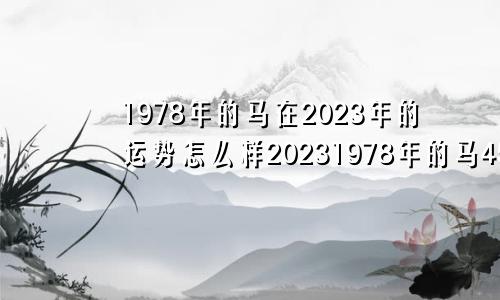 1978年的马在2023年的运势怎么样20231978年的马45岁后的财运