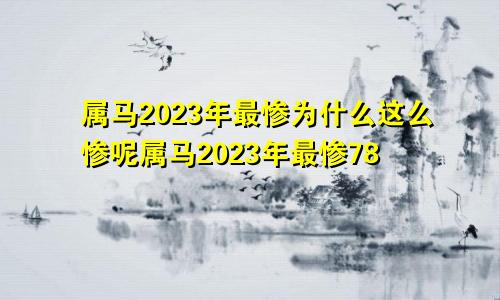 属马2023年最惨为什么这么惨呢属马2023年最惨78