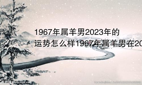 1967年属羊男2023年的运势怎么样1967年属羊男在2022年运势